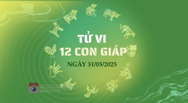 Tử vi ngày 31/05/2025 cho 12 con giáp