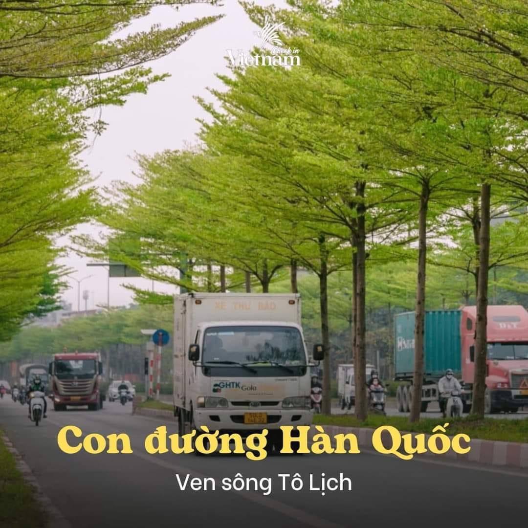 con đường hàn quốc