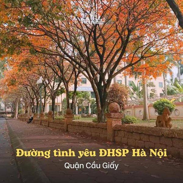 đường tình yêu dhsp